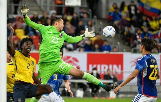 1664354509474083006.jpg 1664354509474083006.jpg